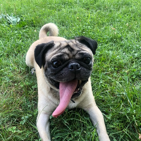 👽 welcome to Angie and Pupu's closet ✨ - Picture 5 of 8